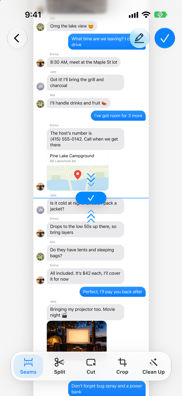 The editor with a seam between two chat screenshots selected for adjusting