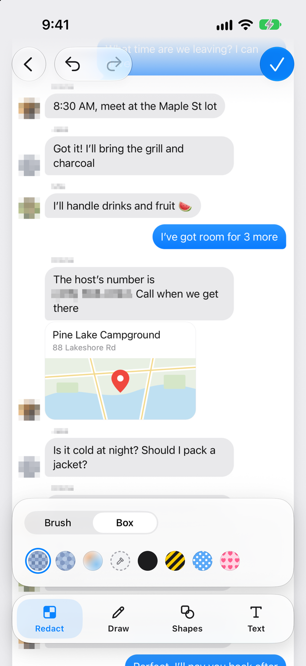 A long chat screenshot with the phone number and profile photos covered by mosaic