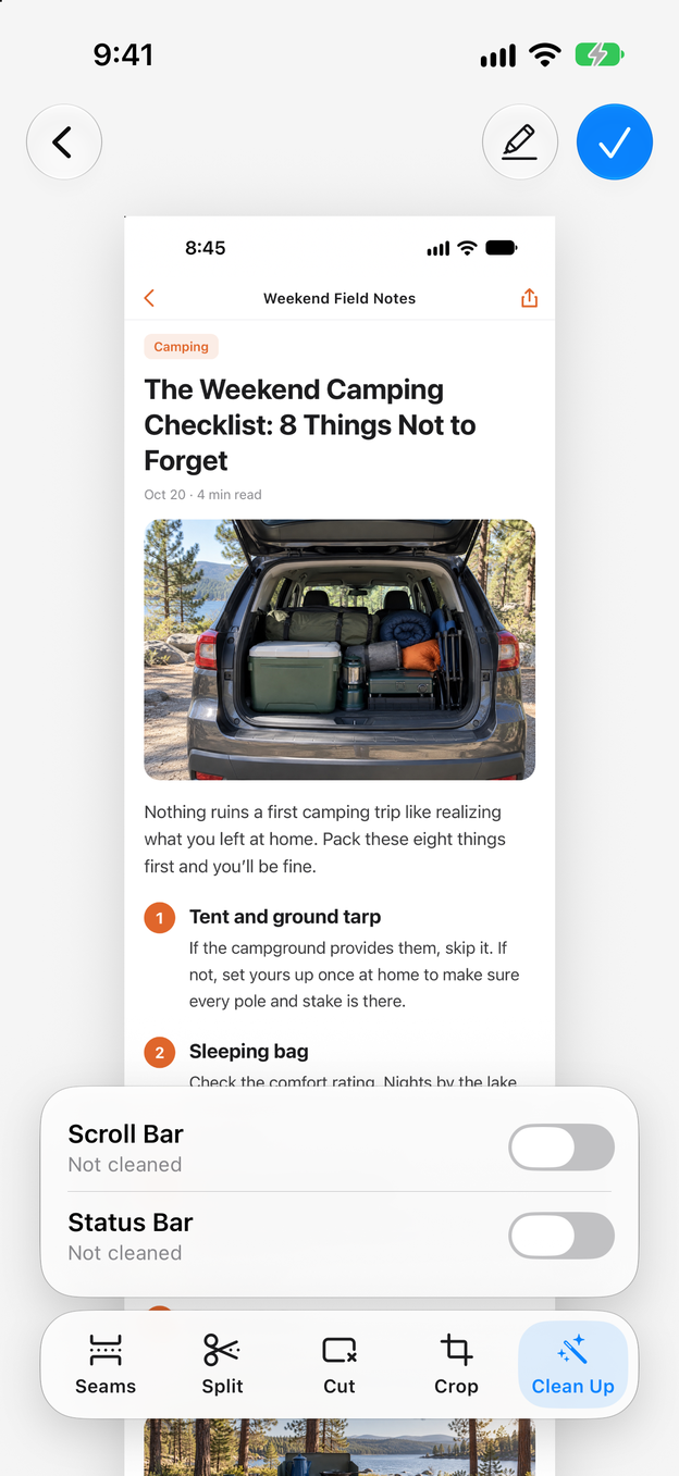 The Clean Up panel with switches for Status Bar and Scroll Bar